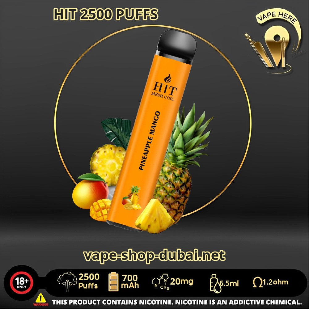 HIT 2500 PUFFS DISPOSABLE VAPE - Vape Here Store