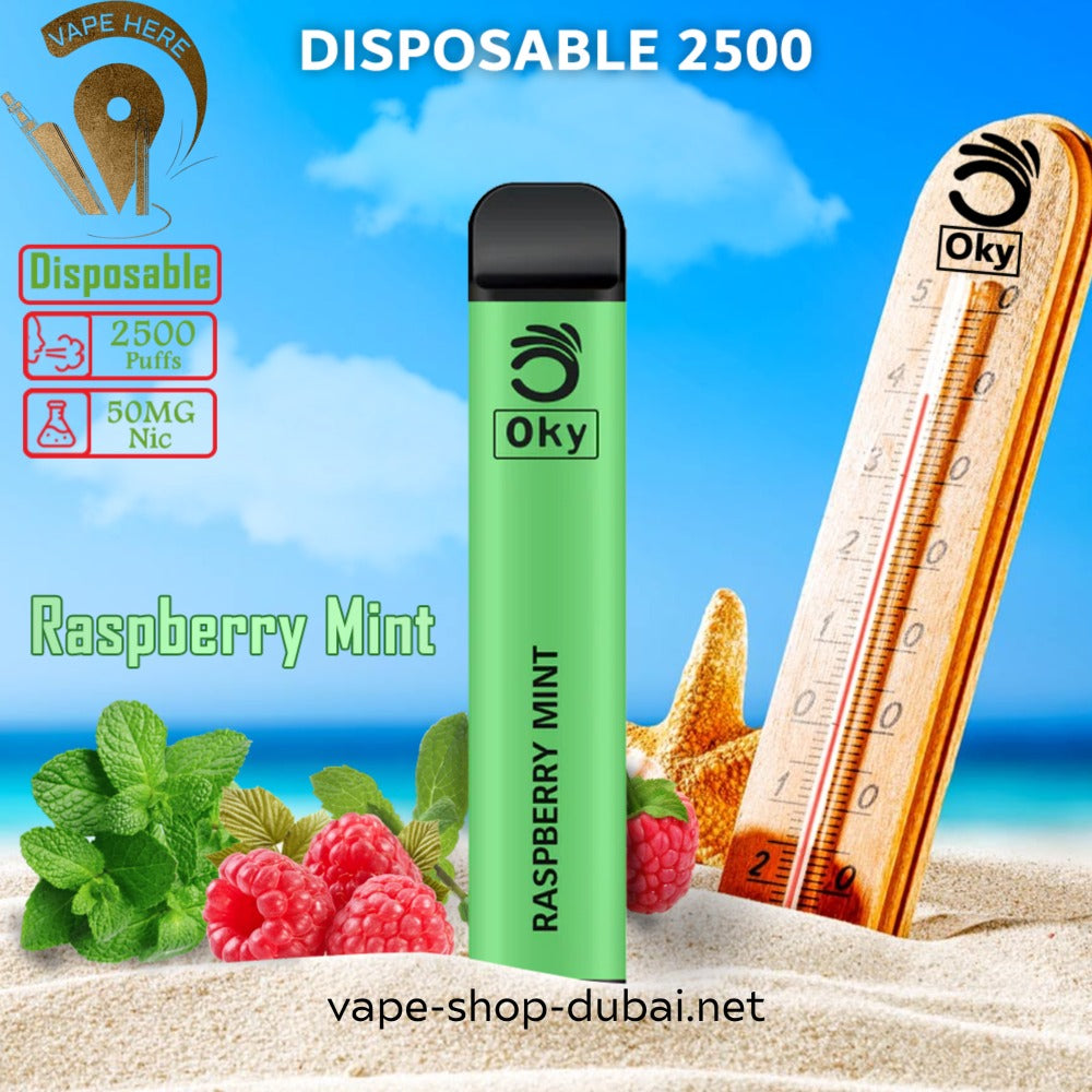 OKY DISPOSABLE VAPE PEN 2500 PUFFS 1200MAH - Vape Here Store