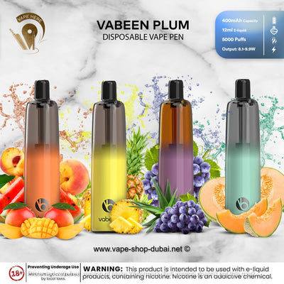 VABEEN PLUM 5000 PUFFS DISPOSABLE VAPE PEN - Vape Here Store