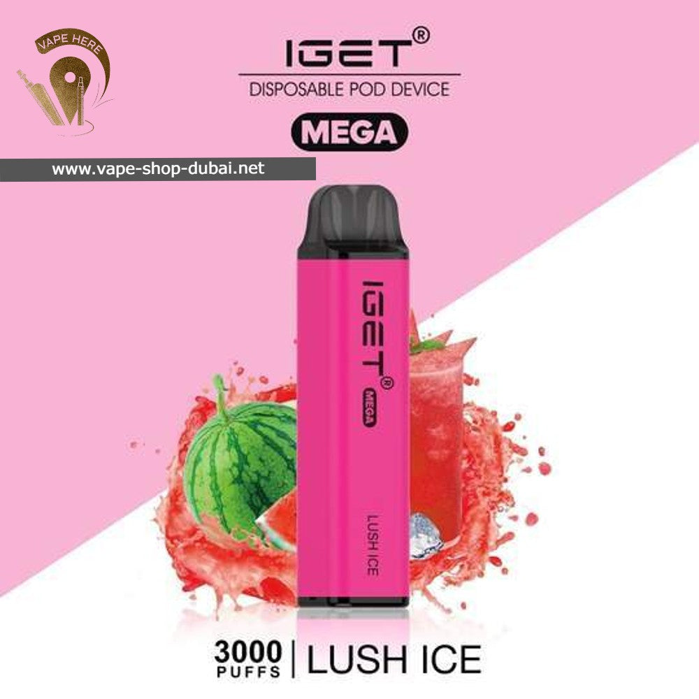 IGET MEGA Disposable Vape 3000 Puff - Vape Here Store