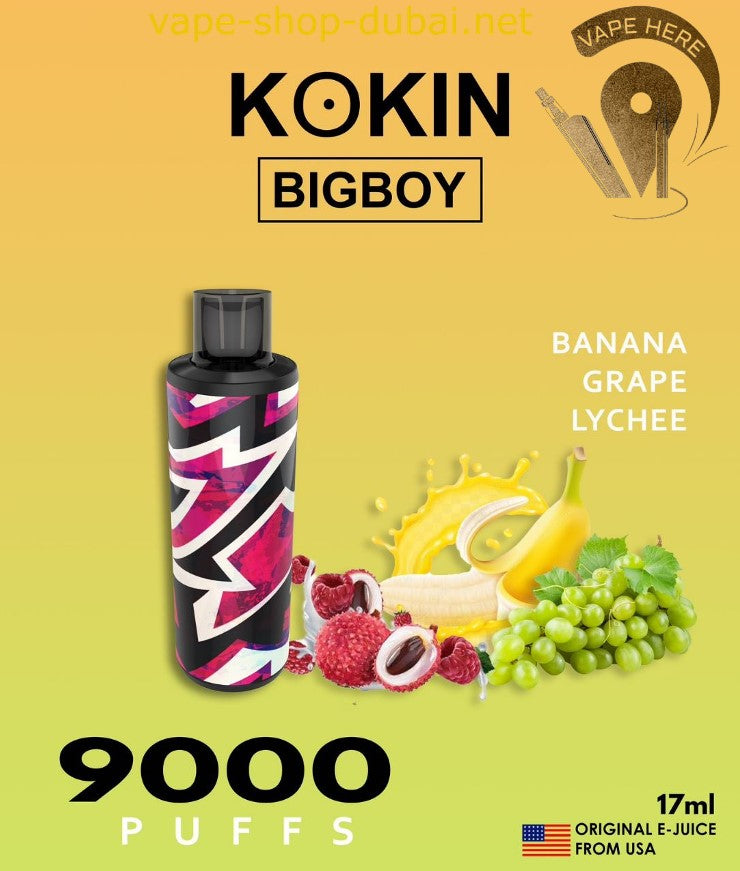 KOKIN BIG BOY 9000 PUFFS DISPOSABLE VAPE | Buy Dubai Vape | Vape Here Store