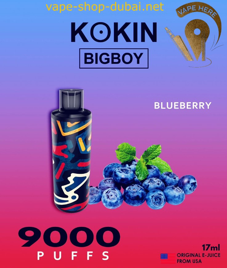 KOKIN BIG BOY 9000 PUFFS DISPOSABLE VAPE - Vape Here Store