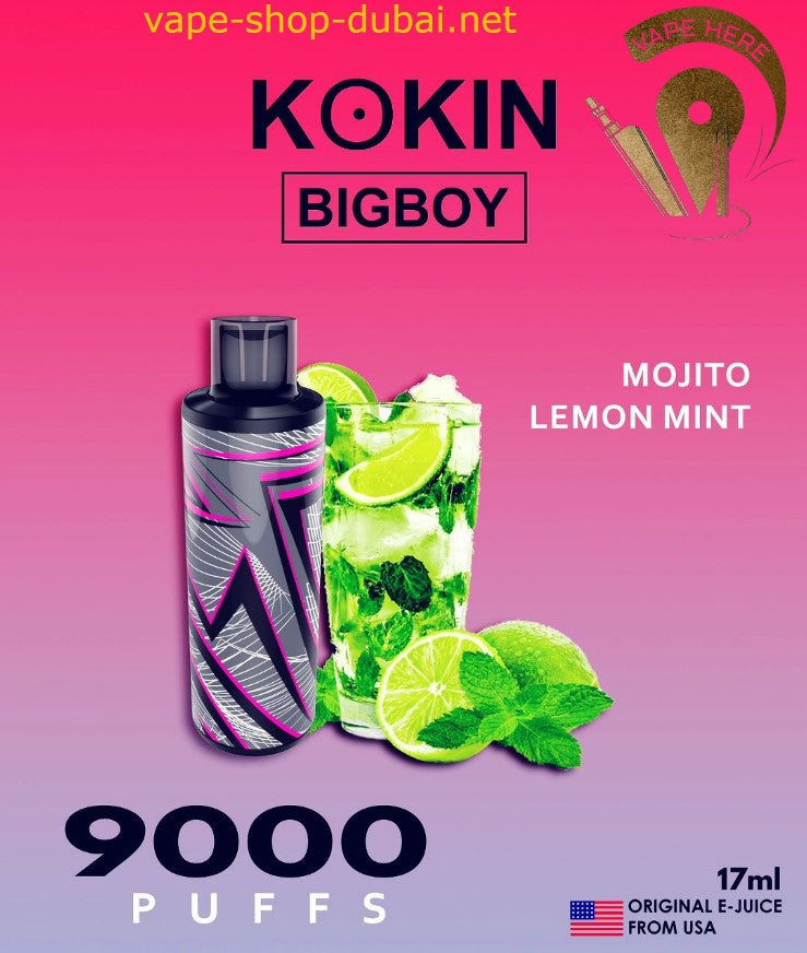 KOKIN BIG BOY 9000 PUFFS DISPOSABLE VAPE - Vape Here Store