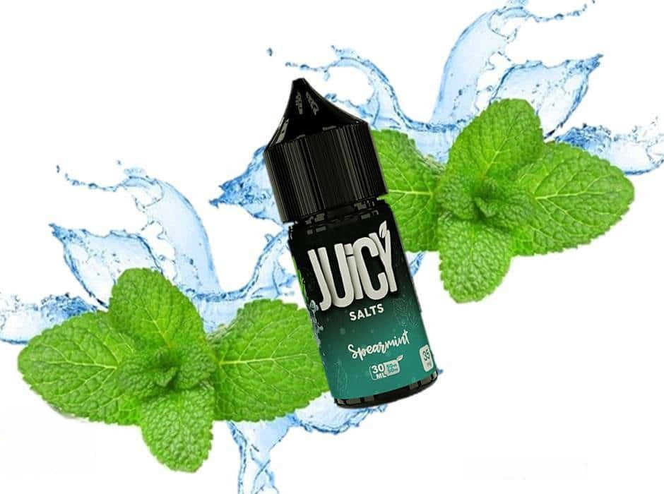Spearmint - Juicy Salt - Vape Here Store
