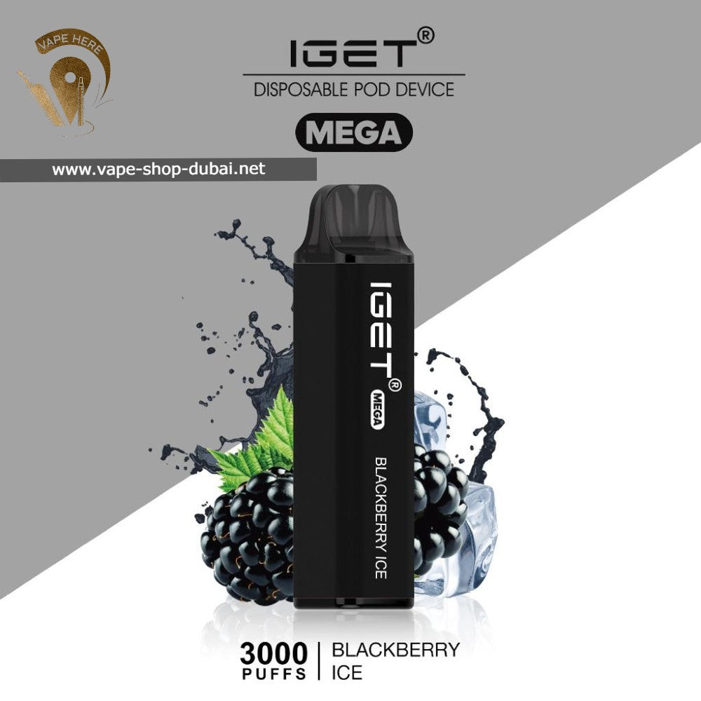 IGET MEGA Disposable Vape 3000 Puff - Vape Here Store