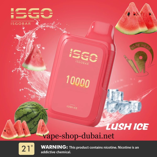 ISGO BAR 10,000 PUFFS DISPOSABLE VAPE - Vape Here Store