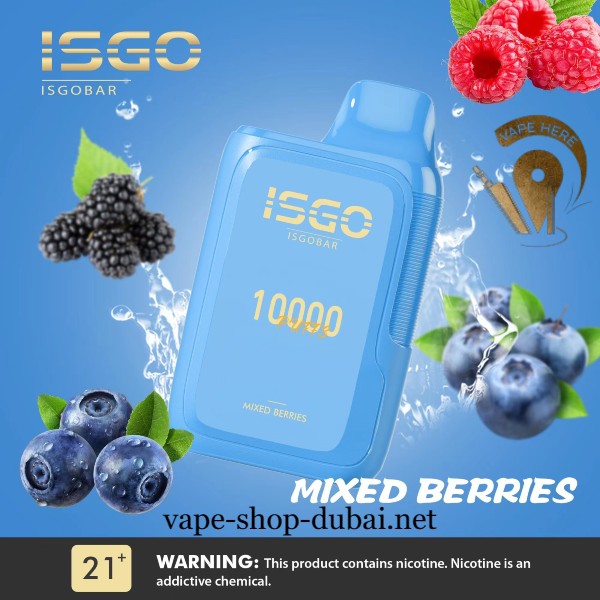 ISGO BAR 10,000 PUFFS DISPOSABLE VAPE - Vape Here Store