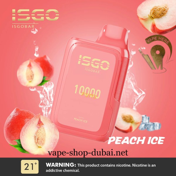 ISGO BAR 10,000 PUFFS DISPOSABLE VAPE - Vape Here Store