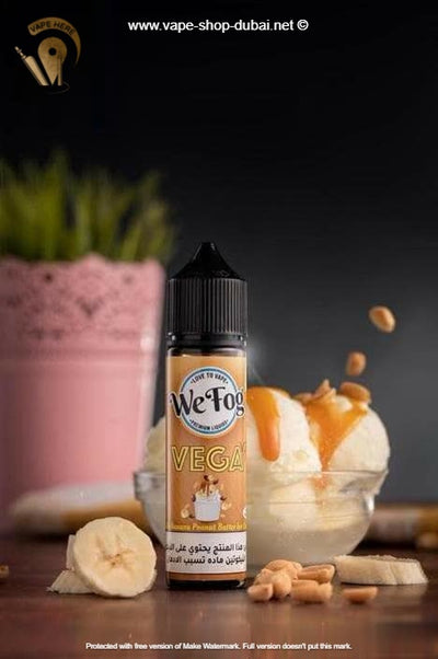 We Fog Vega V2 30ml Saltnic by Camiso - Vape Here Store